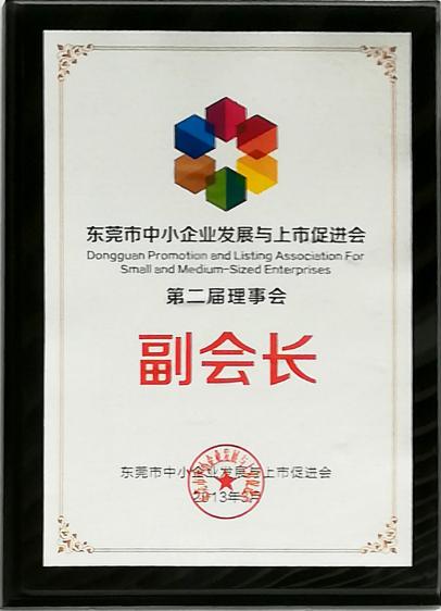 2013年东莞市中小企业发展与上市促进会第二届理事会副会长